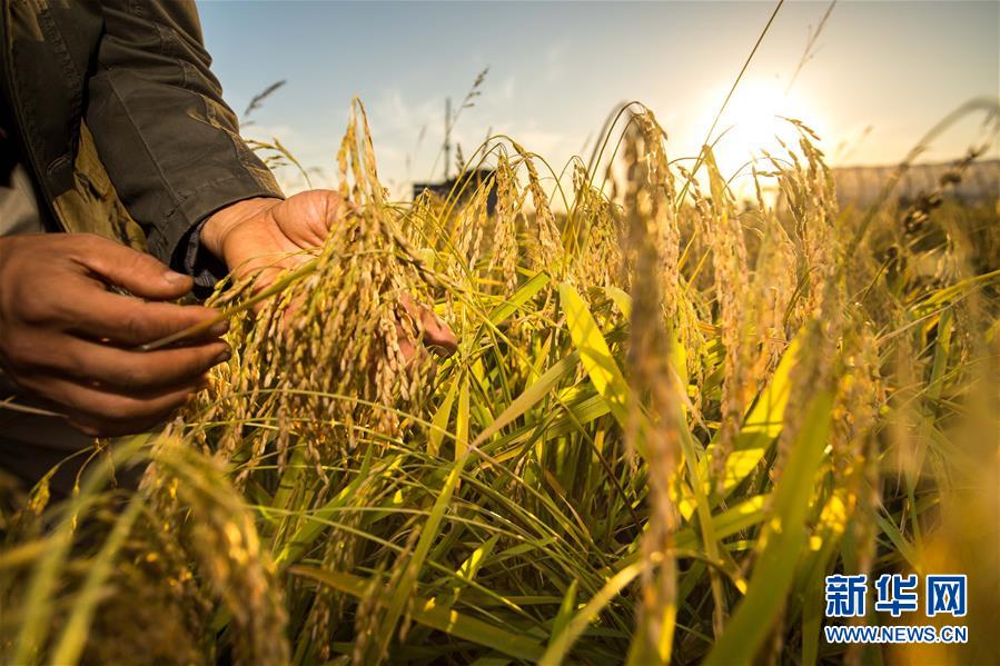 （新華全媒頭條·圖文互動）（5）上下同心再出發(fā)——習近平總書記同出席2019年全國兩會人大代表、政協委員共商國是紀實